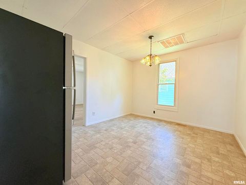 Tiny photo for 123 W COLLEGE Street, Harrisburg, IL 62946 (MLS # EB458397)