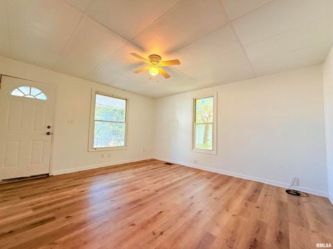 Tiny photo for 123 W COLLEGE Street, Harrisburg, IL 62946 (MLS # EB458397)