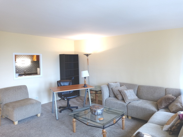 1451 E 55th Street 523N