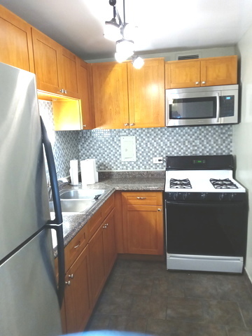 1451 E 55th Street 523N