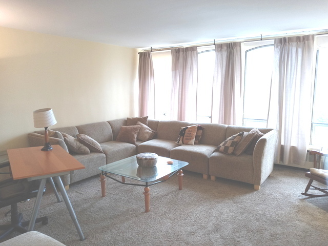 1451 E 55th Street 523N