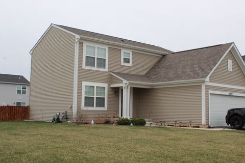 1029 Wright Court Plano IL 60545