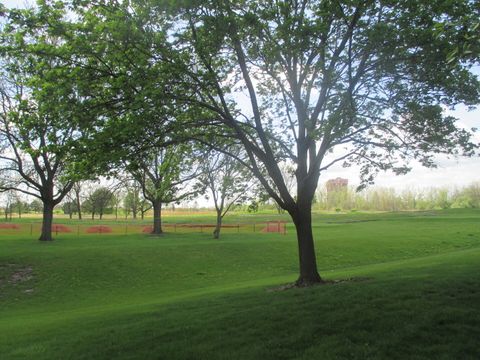 Tiny photo for 544 ELIZABETH Drive #544, Wood Dale, IL 60191 (MLS # 12696603)