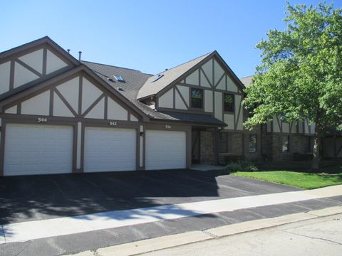 Photo of 544 ELIZABETH Drive #544, Wood Dale, IL 60191 (MLS # 12696603)