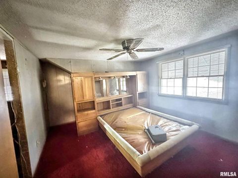 Tiny photo for 900 E 4TH Street, West Frankfort, IL 62896 (MLS # QC4269156)