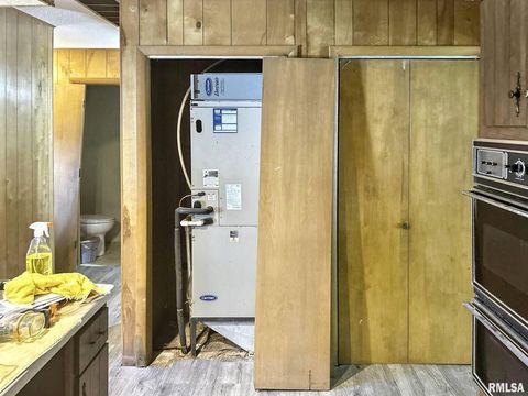 Tiny photo for 900 E 4TH Street, West Frankfort, IL 62896 (MLS # QC4269156)