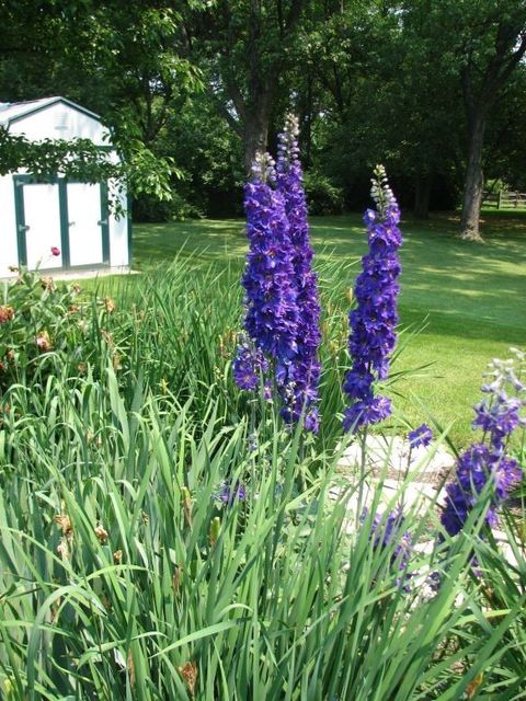 Tiny photo for 37 Forest Hills Road, Lake Bluff, IL 60044 (MLS # 12625492)