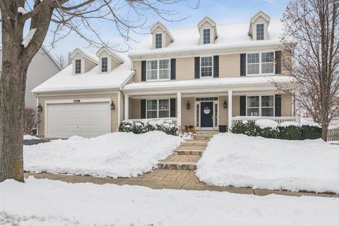 2558 Savanna Drive Wauconda IL 60084