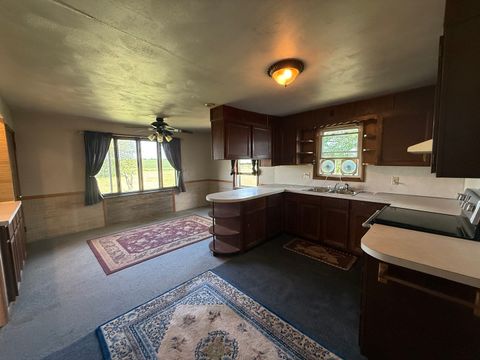 Tiny photo for 3971 E Rock Grove Road, Orangeville, IL 61060 (MLS # 12409581)