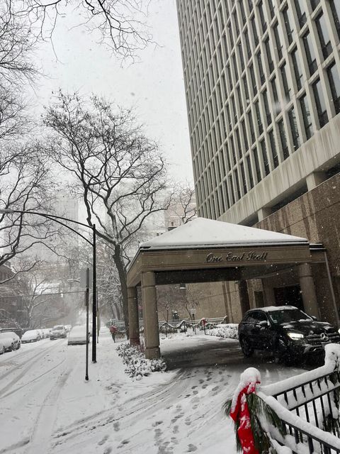 1 E Scott Street 1501 Chicago IL 60610