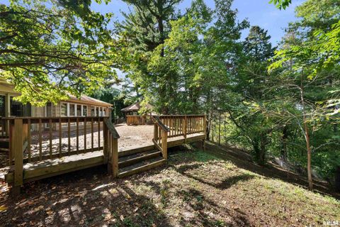 Tiny photo for 660 18TH Avenue, East Moline, IL 61244 (MLS # QC4268045)