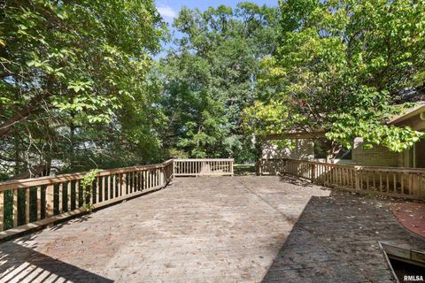 Tiny photo for 660 18TH Avenue, East Moline, IL 61244 (MLS # QC4268045)