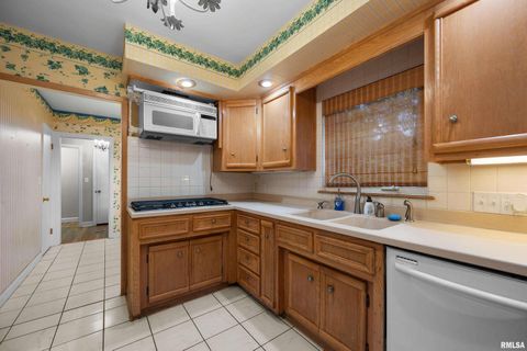 Tiny photo for 660 18TH Avenue, East Moline, IL 61244 (MLS # QC4268045)