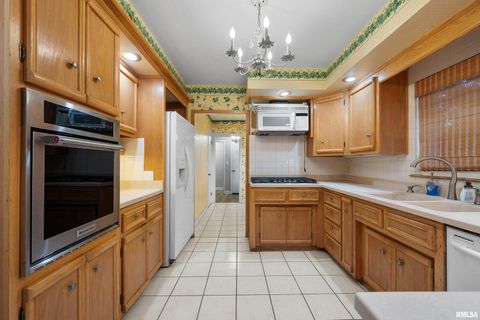 Tiny photo for 660 18TH Avenue, East Moline, IL 61244 (MLS # QC4268045)