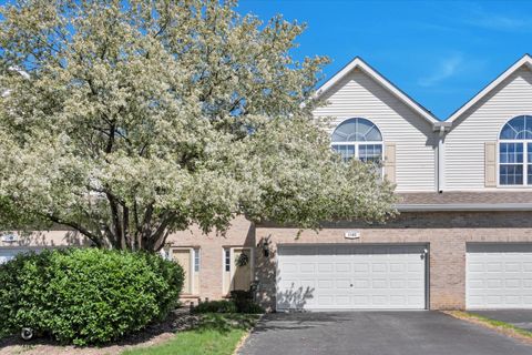 Photo of 1162 Lily Field Lane #1162, Bolingbrook, IL 60440 (MLS # 12626916)
