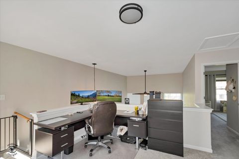 Tiny photo for 1162 Lily Field Lane #1162, Bolingbrook, IL 60440 (MLS # 12626916)