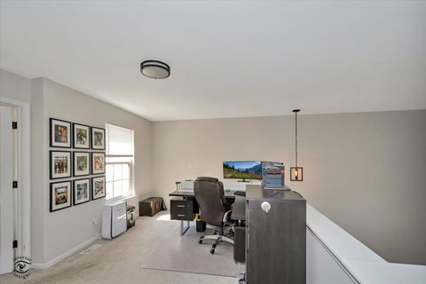 Tiny photo for 1162 Lily Field Lane #1162, Bolingbrook, IL 60440 (MLS # 12626916)