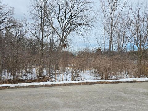 13472 W Hart Street Wadsworth IL 60083