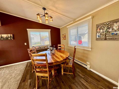 Tiny photo for 3015 118TH Avenue W, Milan, IL 61264 (MLS # QC4269137)