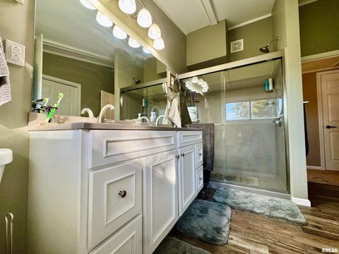 Tiny photo for 3015 118TH Avenue W, Milan, IL 61264 (MLS # QC4269137)