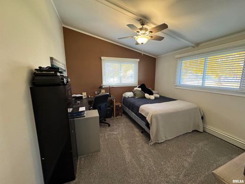 Tiny photo for 3015 118TH Avenue W, Milan, IL 61264 (MLS # QC4269137)