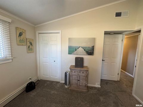 Tiny photo for 3015 118TH Avenue W, Milan, IL 61264 (MLS # QC4269137)