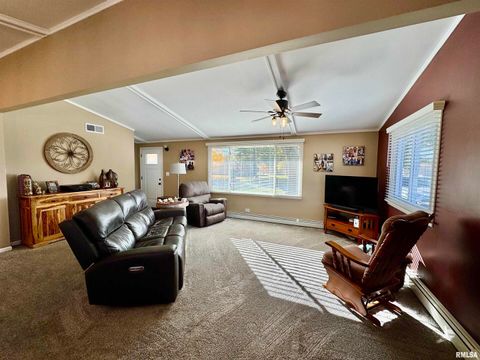 Tiny photo for 3015 118TH Avenue W, Milan, IL 61264 (MLS # QC4269137)