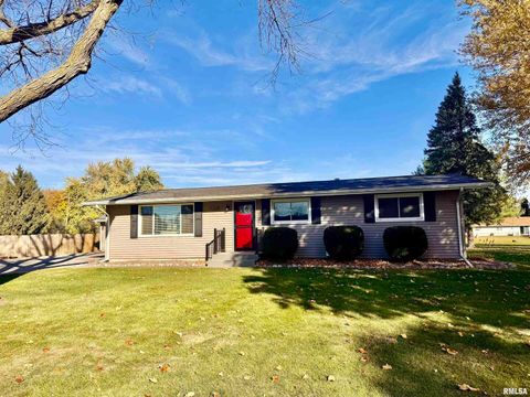 Tiny photo for 3015 118TH Avenue W, Milan, IL 61264 (MLS # QC4269137)