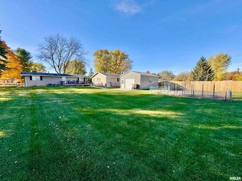 Tiny photo for 3015 118TH Avenue W, Milan, IL 61264 (MLS # QC4269137)
