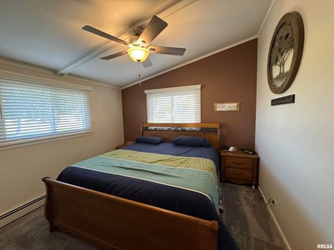 Tiny photo for 3015 118TH Avenue W, Milan, IL 61264 (MLS # QC4269137)