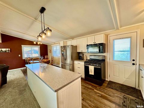 Tiny photo for 3015 118TH Avenue W, Milan, IL 61264 (MLS # QC4269137)