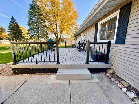 Tiny photo for 3015 118TH Avenue W, Milan, IL 61264 (MLS # QC4269137)