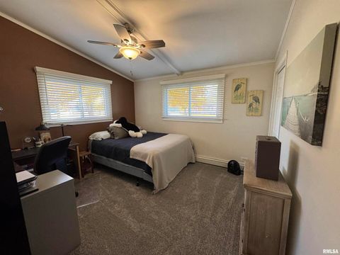 Tiny photo for 3015 118TH Avenue W, Milan, IL 61264 (MLS # QC4269137)