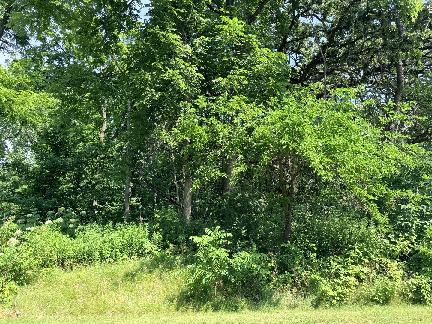 26642 N Il Route 83