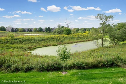Tiny photo for 1013 Ridgeview Drive, Inverness, IL 60010 (MLS # 12736219)