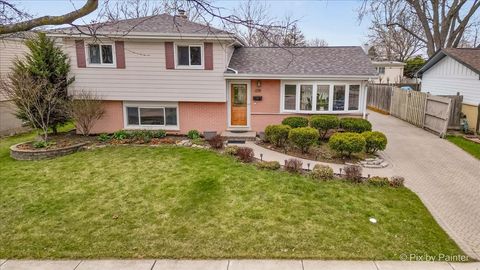 458 N 5th Avenue Des Plaines IL 60016