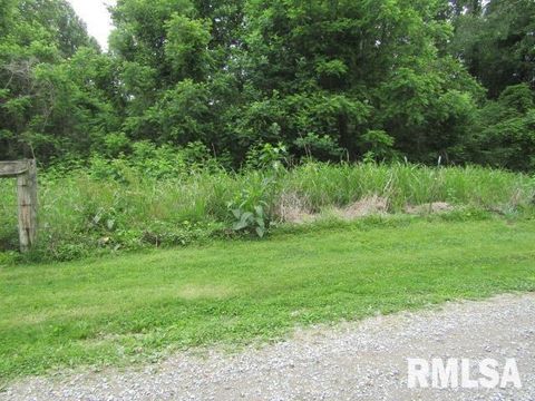 Tiny photo for 72 Shewmaker Road, Cave In Rock, IL 62919 (MLS # EB458156)