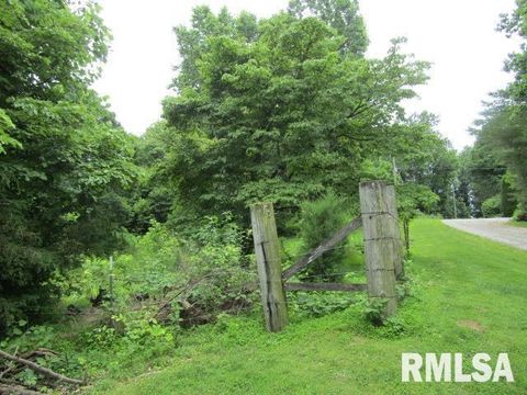 Tiny photo for 72 Shewmaker Road, Cave In Rock, IL 62919 (MLS # EB458156)