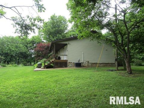 Tiny photo for 72 Shewmaker Road, Cave In Rock, IL 62919 (MLS # EB458156)
