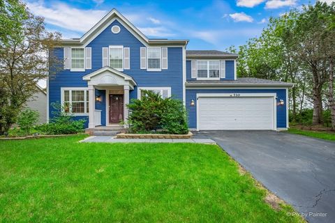 Property photo of 730 Charismatic Drive, Oswego, IL 60543