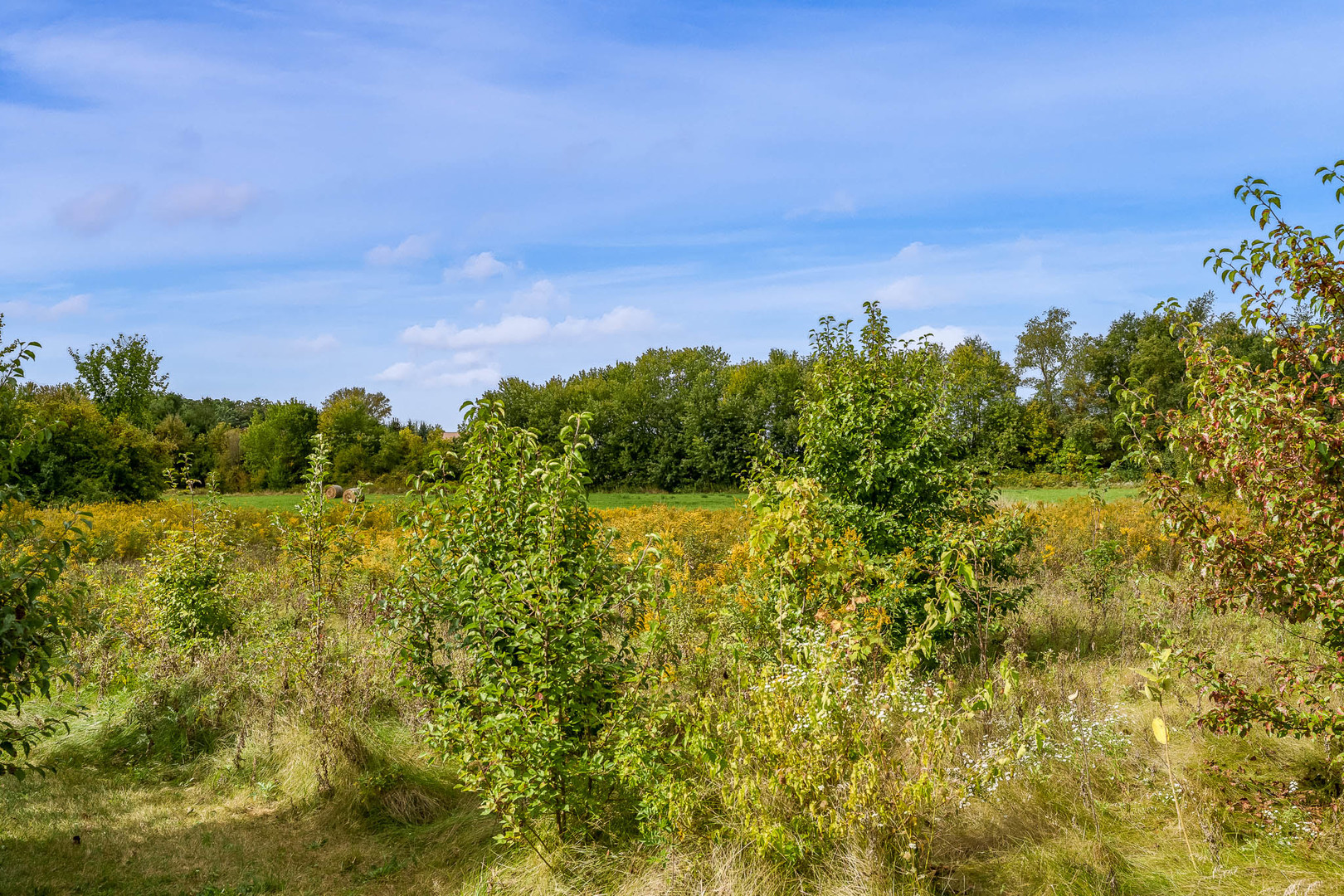 Rockford, Illinois 61107, United States, 4 Bedrooms Bedrooms, ,4 BathroomsBathrooms,Residential,Active,222730