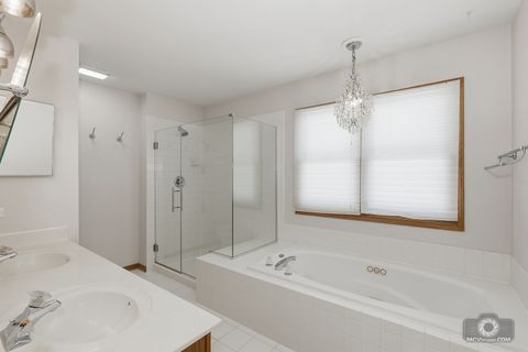 Tiny photo for 1909 Prairie Trail Court, Plainfield, IL 60586 (MLS # 12556220)