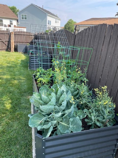 Tiny photo for 1909 Prairie Trail Court, Plainfield, IL 60586 (MLS # 12556220)