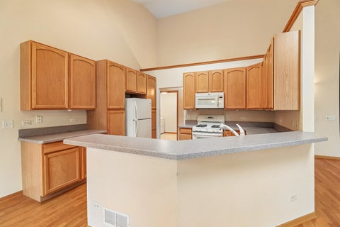 Tiny photo for 10899 Swallow Tail Lane, Frankfort, IL 60423 (MLS # 12633226)