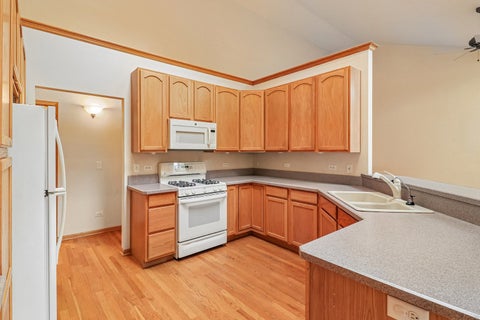 Tiny photo for 10899 Swallow Tail Lane, Frankfort, IL 60423 (MLS # 12633226)