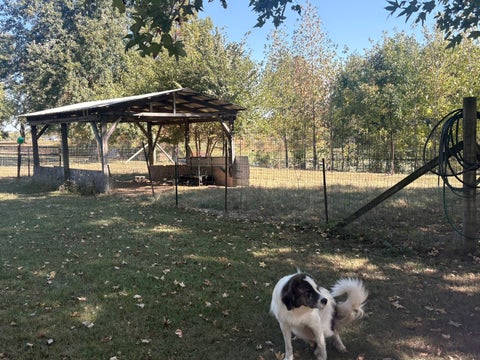 Tiny photo for 14052 Summer Road, Benton, IL 62812 (MLS # 12781558)