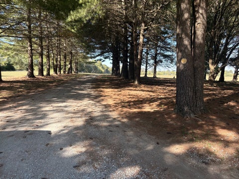 Tiny photo for 14052 Summer Road, Benton, IL 62812 (MLS # 12781558)