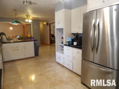 Tiny photo for 736 N MILL Street, Carrier Mills, IL 62917 (MLS # EB459487)