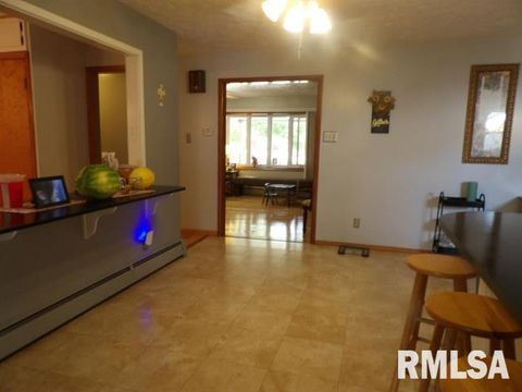 Tiny photo for 736 N MILL Street, Carrier Mills, IL 62917 (MLS # EB459487)