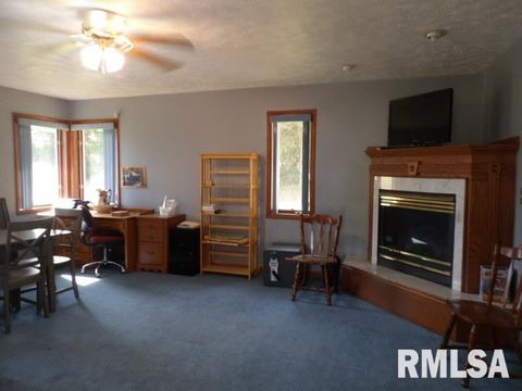 Tiny photo for 736 N MILL Street, Carrier Mills, IL 62917 (MLS # EB459487)